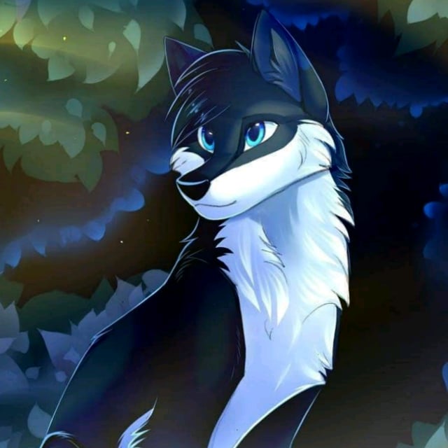 Luna wolfs