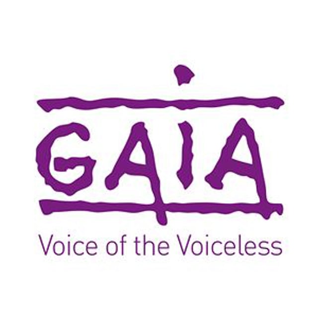 GAIA TV
