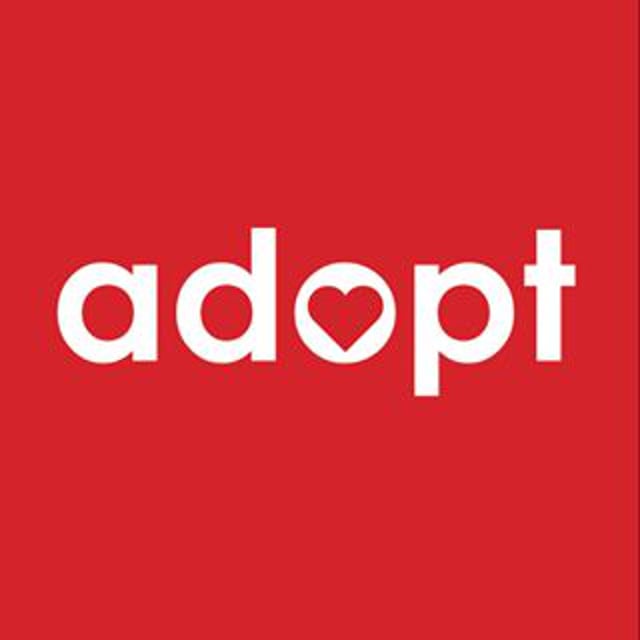 Indiana Adoption Program