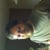 Shane Copen
