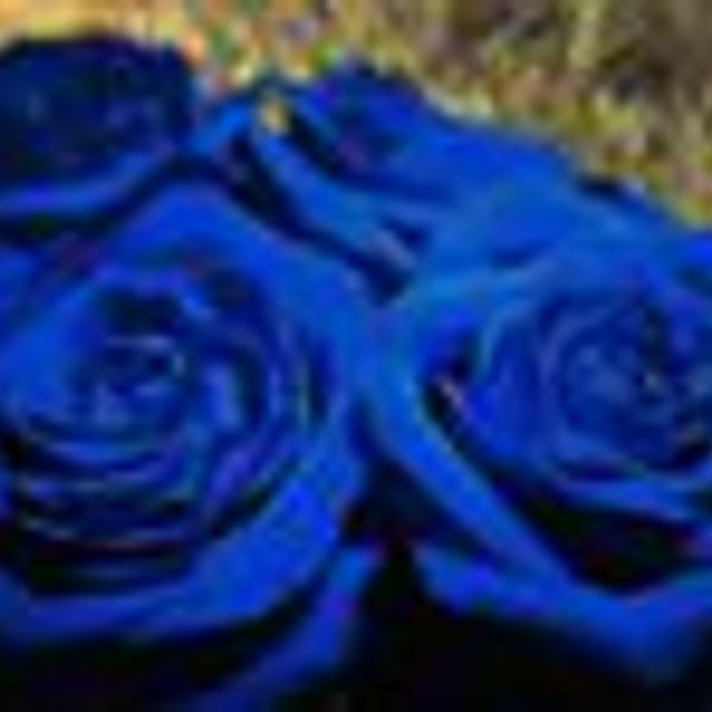 картинки синей птицы. темно синий фон. спой синий. синяя река песня под гитару. эстетика синего.