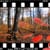 Back40 Films, LLC