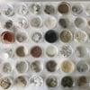 Museum of edible earth