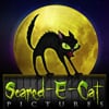 Scared-E-Cat Pictures