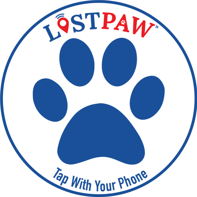 Lost paw play fnaf