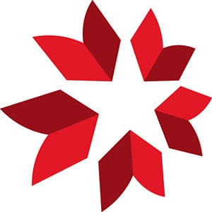 Profile picture for ACLS1919