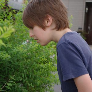Profile picture for Sebastian the Naturalist