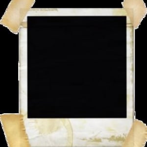 Profile picture for margarida l