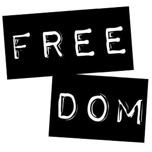 Profile picture for Freedom Skateshop