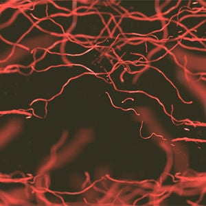 Profile picture for Nikki Schuster