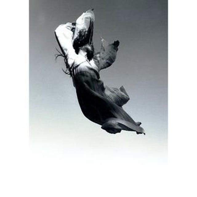 Flying Limbs
