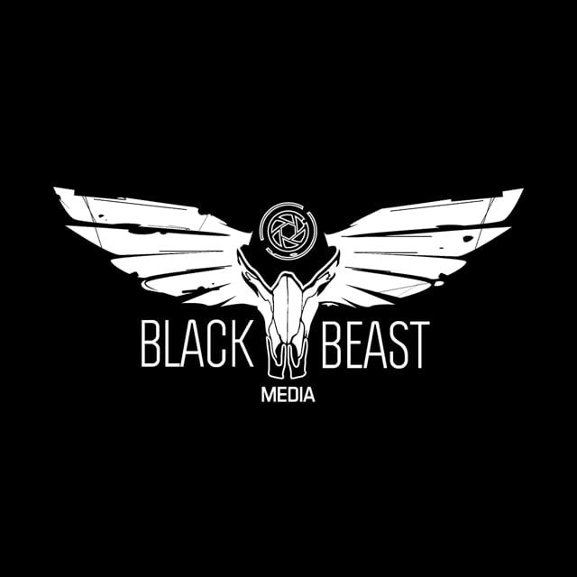 Big black beast. Beast in black logo. Огненный город. Гвен паук. Ragna crimson багровый король.