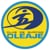 CLUB DEPORTIVO DE SURFING OLEAJE