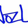NozL Recordings