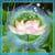 Lotus Diamond