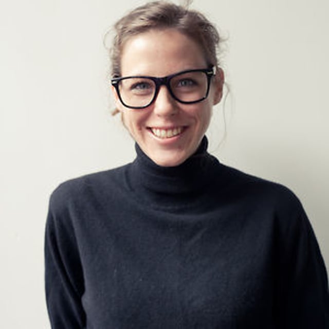 VOLN WIKIPEDIE intelligence overview