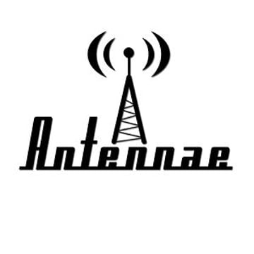 Vimeo profile picture for @antennae