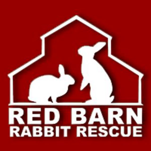 Red Barn Rabbit Rescue On Vimeo