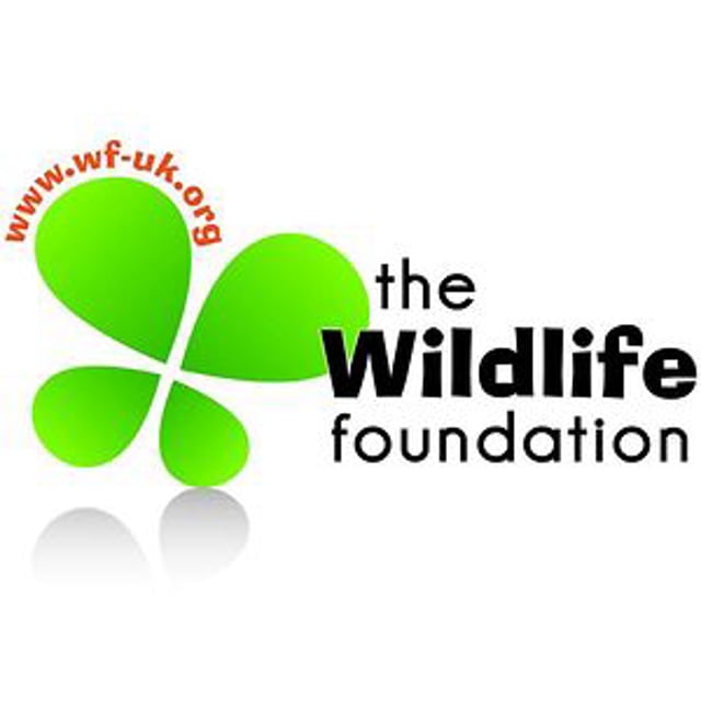 The Wildlife Foundation