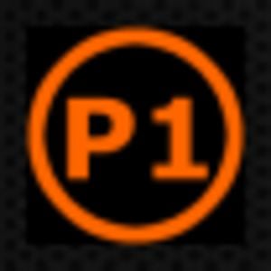 Profile picture for P1 Security