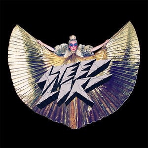 Profile picture for STEED LORD