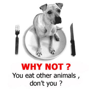 Vimeo profile picture for @vegan