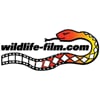 Wildlife-film.com