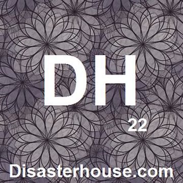 Vimeo profile picture for @disaster