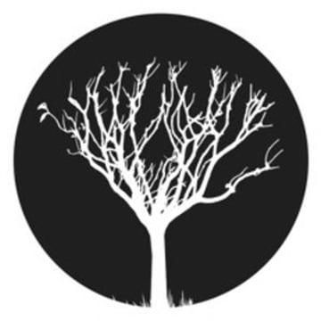 Vimeo profile picture for @rl