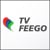 Comunica&ccedil;&atilde;o FEEGO