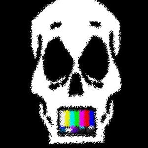 Profile picture for Shaun Barrett
