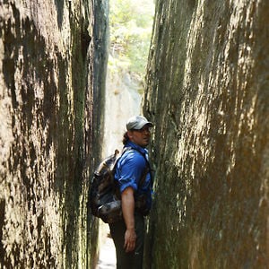 Profile picture for David Peck