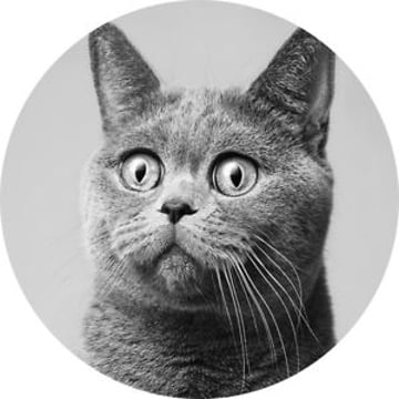 Vimeo profile picture for @martyr