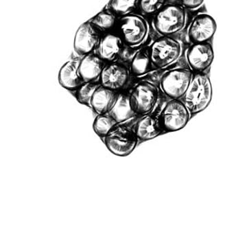 Vimeo profile picture for @barnacle