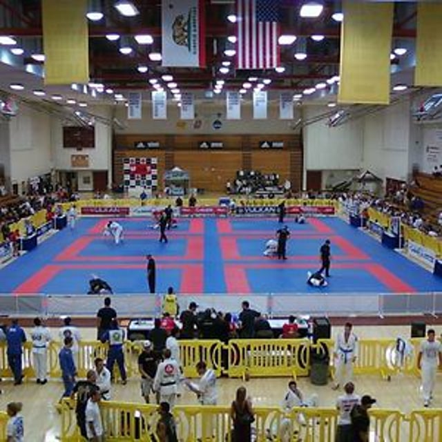 The Submission Channel