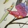 Marion Guillard