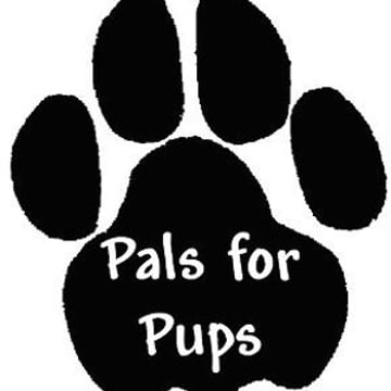 Vimeo profile picture for @pals