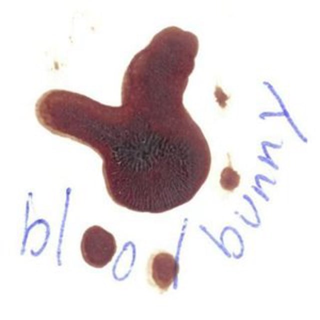 Blood Bunny