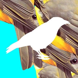 Profile picture for LA BASTARDA RAFAELA