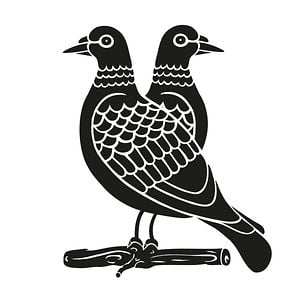 Profile picture for Double Pigeon