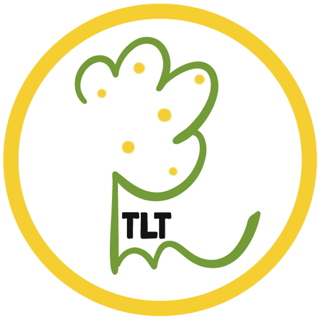 The Lemon Tree Education