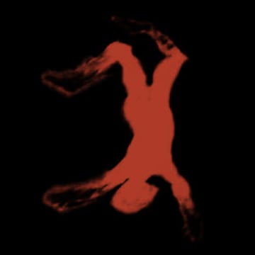 Vimeo profile picture for @nil