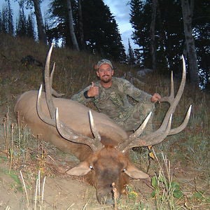 Profile picture for i-Video Wildlife
