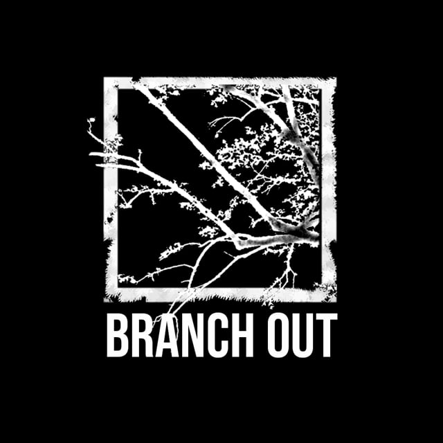 Branch Out Visuals