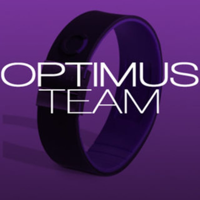 Optimus Team