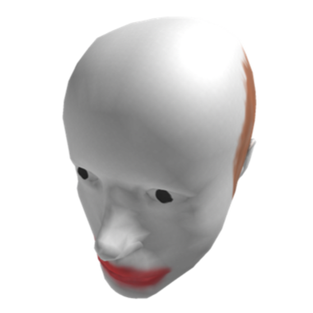 Головы roblox. Голова из РОБЛОКСА С лицом. Белая голова из РОБЛОКСА. Голова Филипе в РОБЛОКСЕ. Голова из РОБЛОКСА реалистичная.