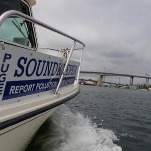 Profile picture for Puget Soundkeeper