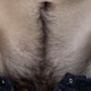 prodboy