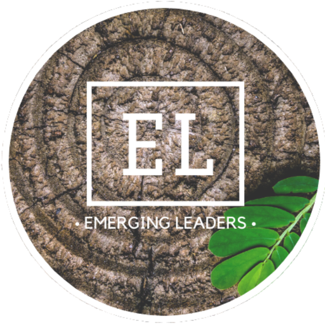 The Emerging Leaders Program