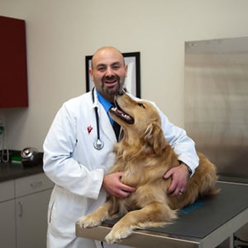 Vimeo profile picture for @veterinarian